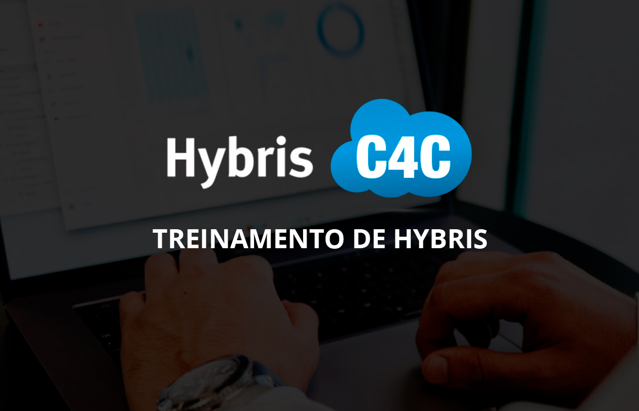 Course Image Treinamento de  HYBRIS